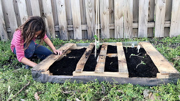 Easy Home Garden – Family Project